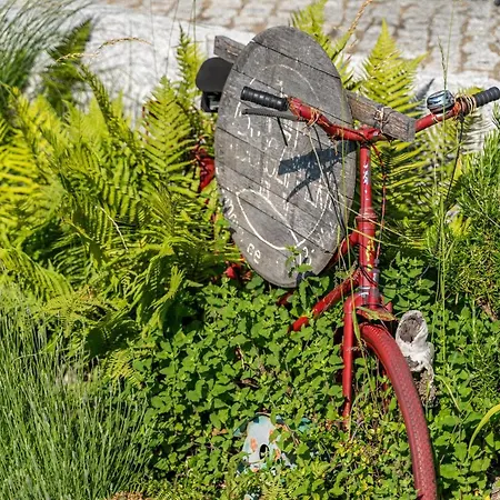 Augensteins Burgzimmer Apartamento